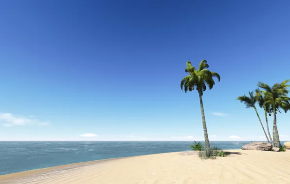 Песок, море, пляж, лето, небо, солнце, пальмы, берег