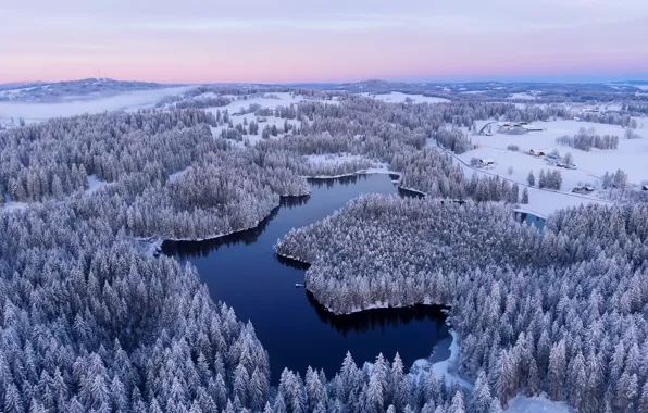 Картинка лес, природа, озеро