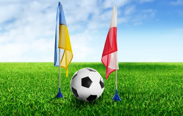 Wallpaper, sport, football, flags, Ukraine, ball, Poland