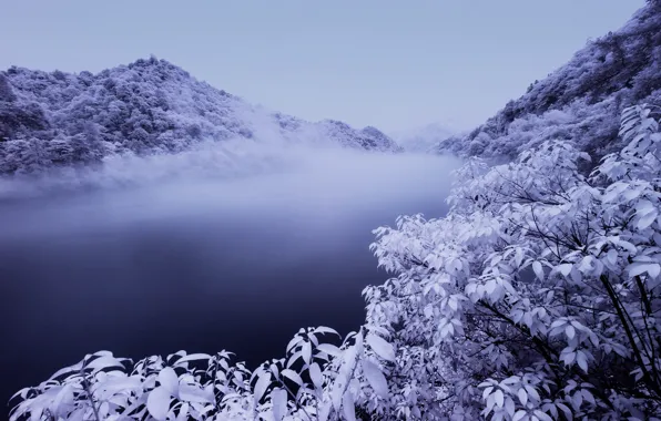 Зима, снег, деревья, река, river, trees, winter, snow