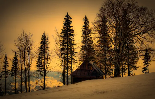 Зима, деревья, природа, дом