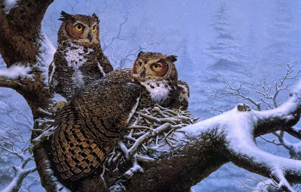 Картинка зима, снег, дерево, сова, ель, гнездо, живопись, совы
