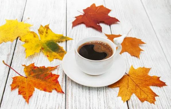 Картинка осень, листья, wood, autumn, leaves, coffee cup, чашка кофе