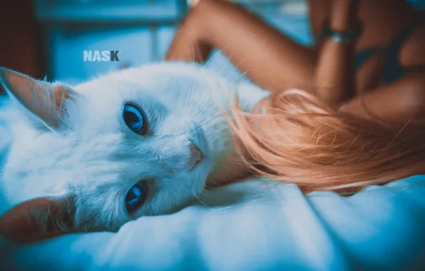 Картинка кошка, кот, девушка, постель, NASK