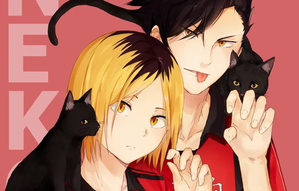 Кошки, коты, парни, Волейбол, Haikyuu, kuroken, by oretsuu