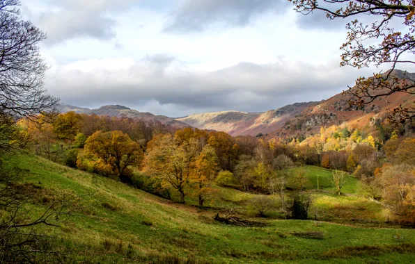 Осень, лес, трава, облака, деревья, горы, Англия, Grasmere