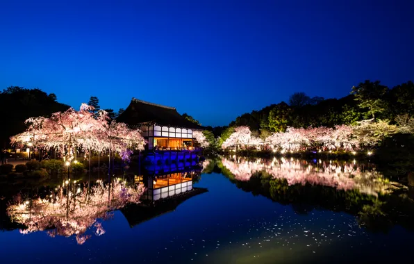 Картинка вода, деревья, пейзаж, природа, отражение, вечер, Япония, сакура