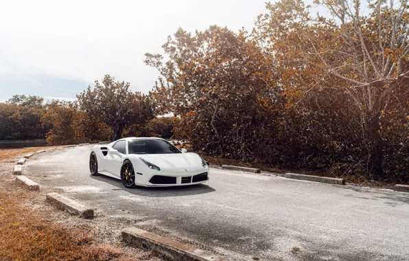 Дорога, белый, спортивный автомобиль, Ferrari 488