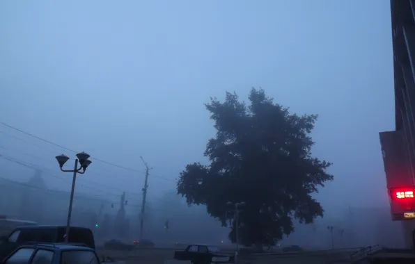 Город, туман, утро, площадь, тополь, Калуга