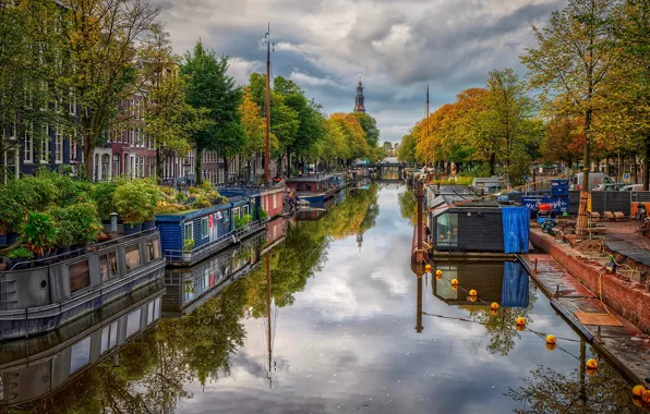 Осень, деревья, природа, река, дома, Амстердам, Нидерланды, Netherlands