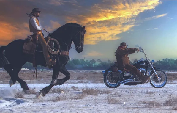 Oops, two, horse, ride, mens, Rapidity