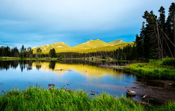 Картинка лес, небо, облака, деревья, горы, озеро, США, Colorado