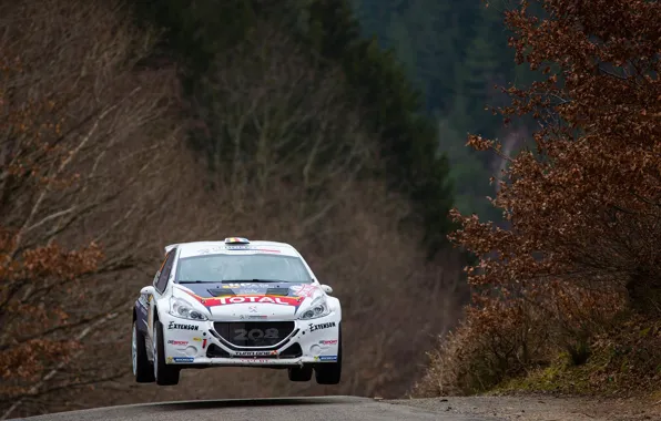 Прыжок, Peugeot, Rally, Передок, 208, T16, ERC