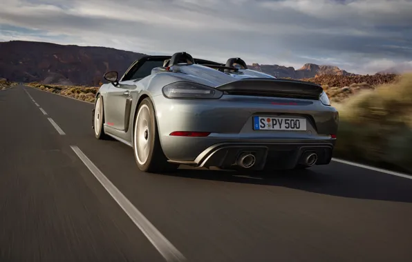 Картинка Porsche, порше, вид сзади, спайдер, 718, Porsche 718 Spyder RS