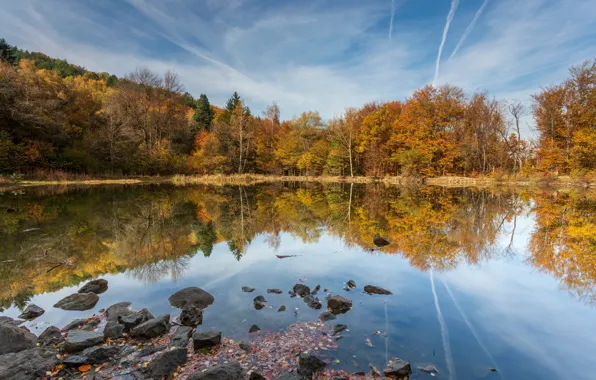 Картинка осень, лес, пейзаж, природа, озеро, камни