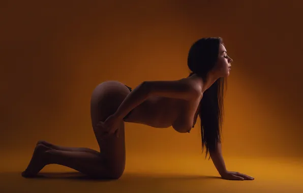 Ass, panties, studio, nipples, boobs, model, women, brunette