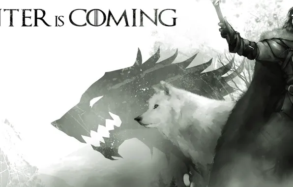 Sword, ghost, ken, north, wolf, A Song of Ice and Fire, Game of Thrones, hero