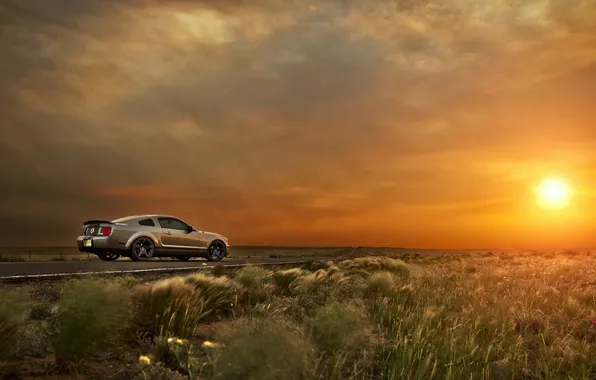 Картинка дорога, машина, Ford Mustang GT500