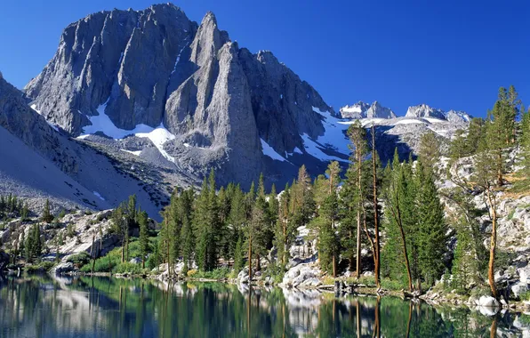 Лес, горы, озеро, Калифорния, США