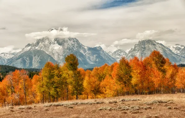 Картинка осень, лес, облака, деревья, горы, вершины