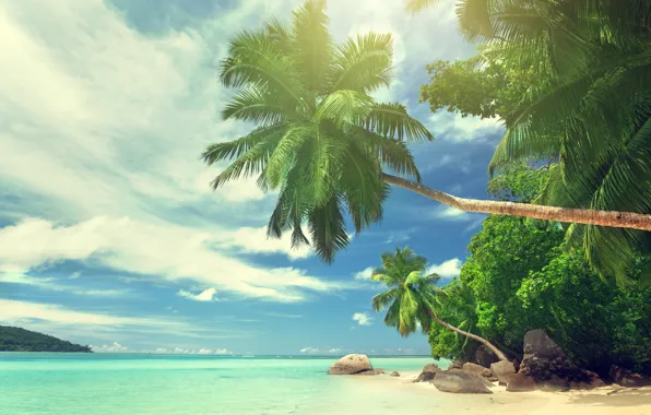 Картинка песок, море, пляж, солнце, тропики, океан, берег, остров