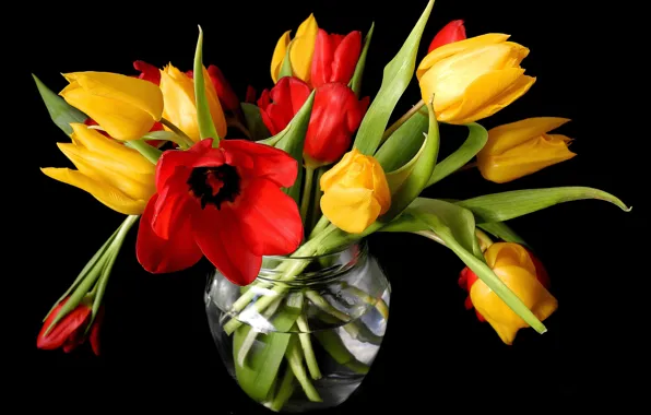 Картинка цветы, весна, желтые, тюльпаны, красные, ваза, черный фон, бутоны