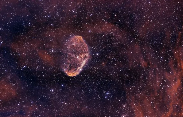 Лебедь, в созвездии, Туманность Полумесяц, Crescent Nebula