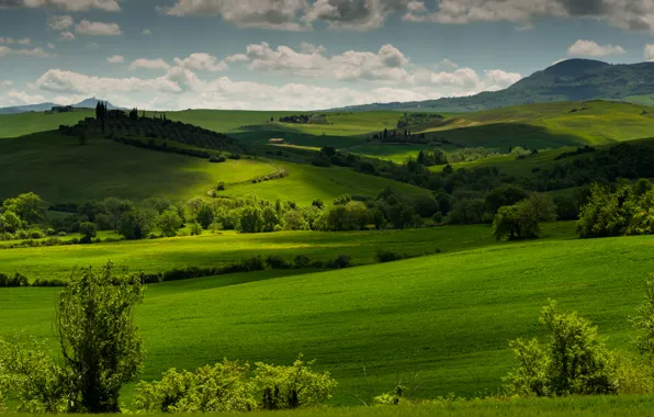 Картинка зелень, трава, облака, деревья, холмы, поля, Италия, луга