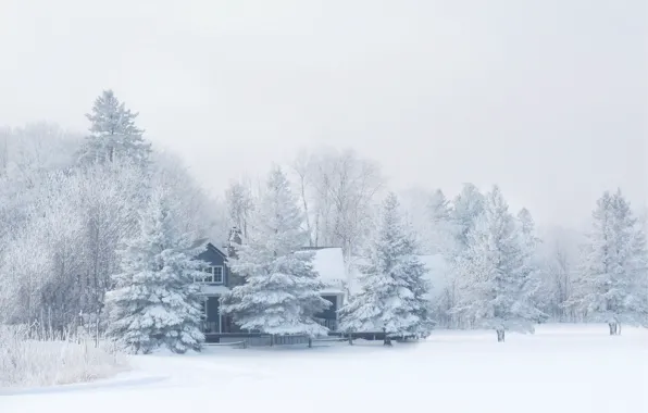 Картинка зима, лес, снег, природа, мороз, домик