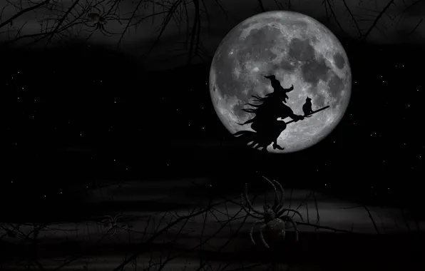 Ночь, Паук, Луна, Ведьма, Halloween, Хеллоуин, Полёт, Метла