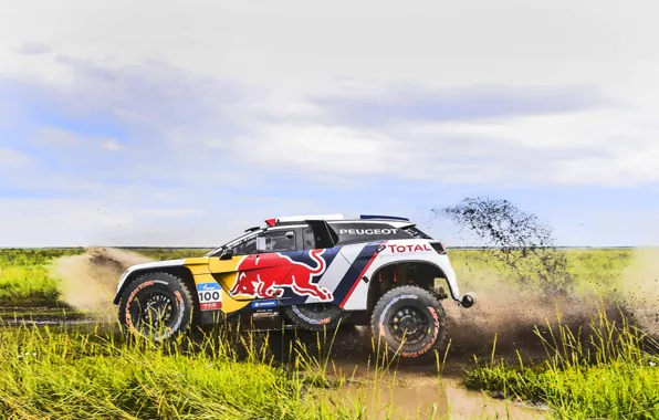 Спорт, Скорость, Гонка, Грязь, Peugeot, Фары, Red Bull, Rally