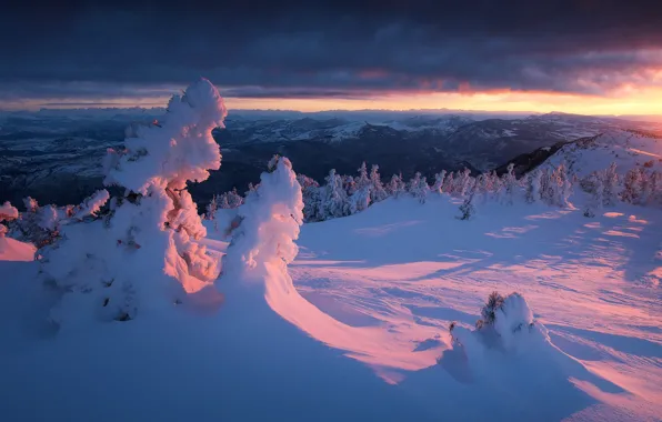 Картинка зима, лес, свет, снег, деревья, горы