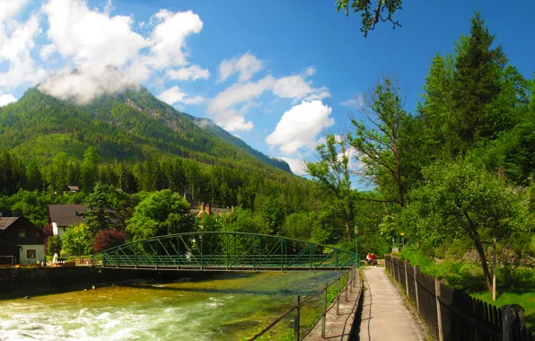 Картинка лес, облака, деревья, горы, мост, река, дома, Австрия