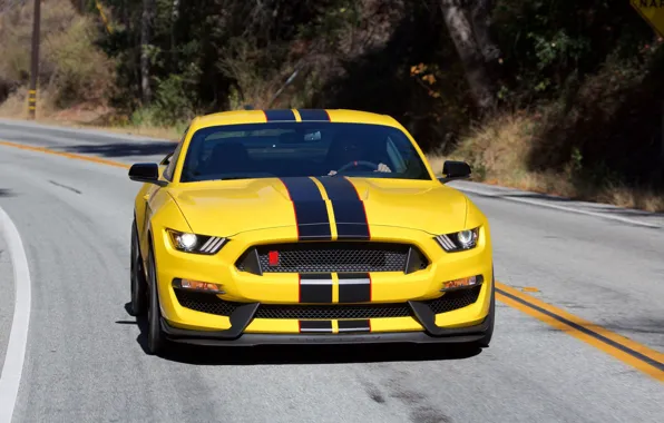 Car, Ford, yellow, Ford Shelby, Ford Shelby GT350
