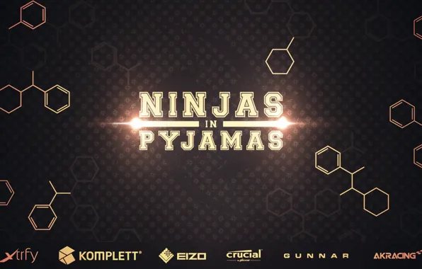 Games, team, pro, pro team, NIP, ninjas in pyjamas