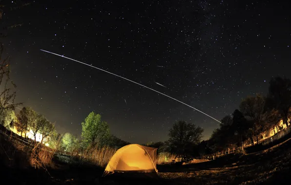 Картинка небо, звезды, деревья, ночь, огни, палатка