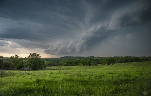 Поле, лес, облака, природа, туча