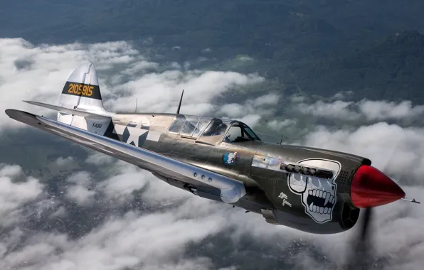 Череп, самолёт, летит, Curtiss P-40