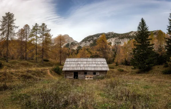 Landscape, wood, ruins, Slovenia, old hut
