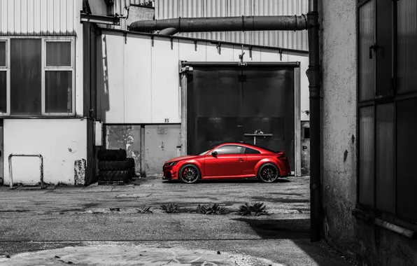 Audi, ABT, TT RS-R