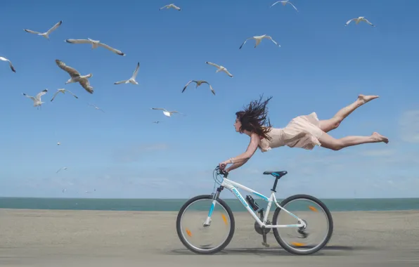 Картинка девушка, велосипед, берег, чайки, скорость