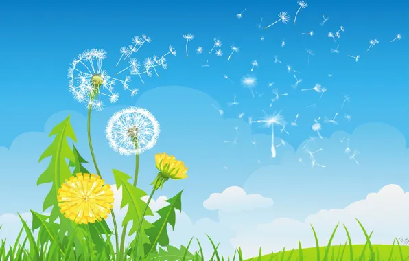 Картинка небо, трава, облака, цветы, одуванчик, коллаж, вектор, былинка