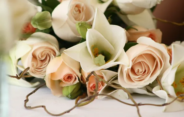 Цветы, романтика, розы, красиво, свадьба