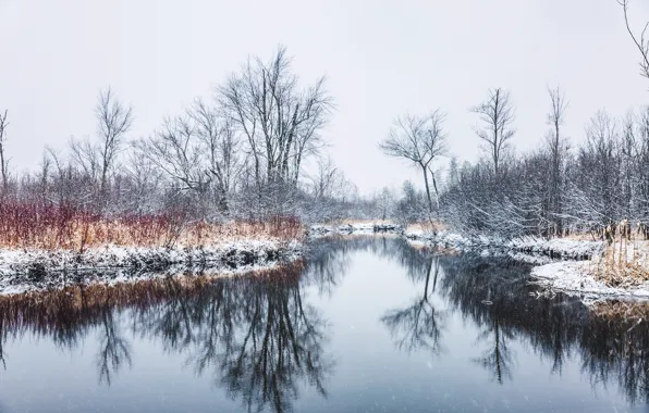 Картинка осень, природа, Spring Snow
