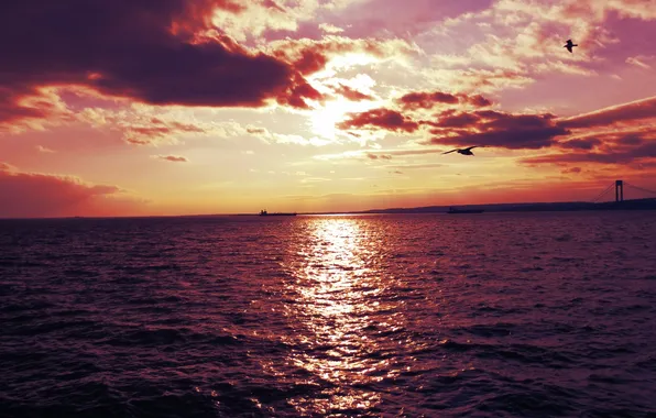 Море, закат, природа