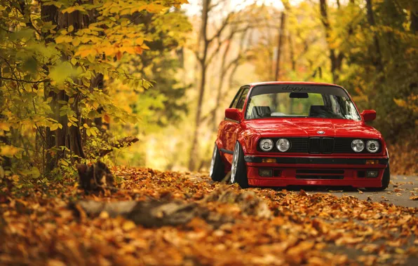Картинка дорога, осень, лес, листья, BMW, E30