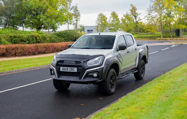 Картинка дорога, газон, пикап, Isuzu, D-Max, 2019, UK version, XTR