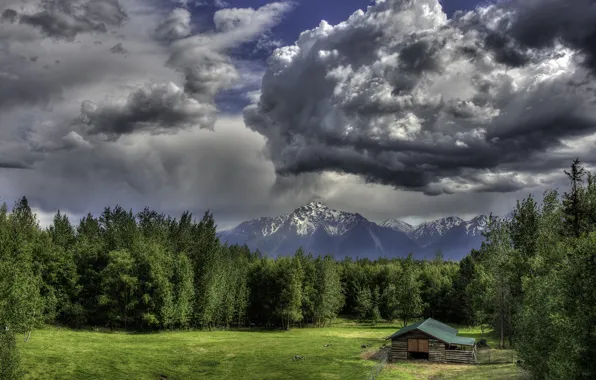 Картинка лес, облака, горы, поляна, сарай, Alaska, Пайонир Пик, Чугачские горы
