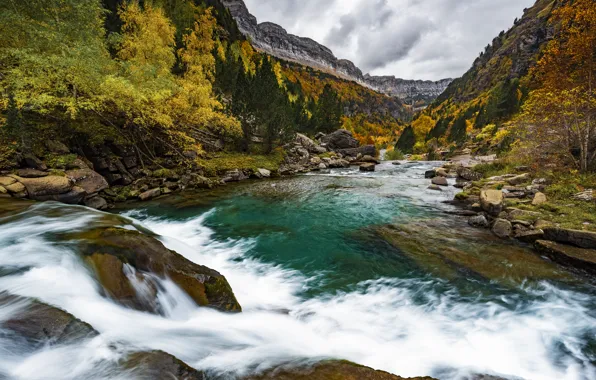 Осень, лес, скалы, берег, листва, водопад, поток, краски осени