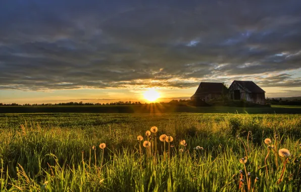 Картинка поле, лето, закат, дома